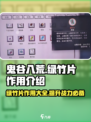 鬼谷八荒绿竹片有用吗介绍