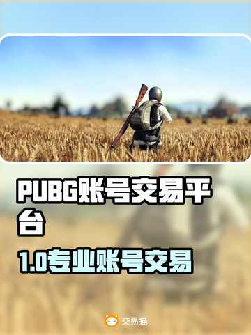 🔥PUBG账号交易TOP平台大揭秘！🎮截图1