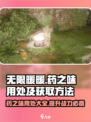 无限暖暖🔥药之味大揭秘！玩游戏必知获取方法✨