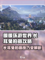 无限暖暖长耳兔拍摄攻略🐰玩游戏名必备！