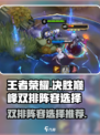决胜巅峰双排阵容选择什么介绍