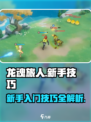 龙魂旅人攻略介绍