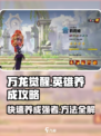 万龙觉醒英雄养成攻略介绍