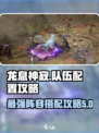 龙息神寂队伍配置攻略介绍