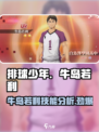 排球少年手游🔥牛岛若利技能全面解析❗