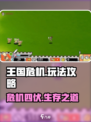 王国危机玩法一览介绍