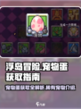 浮岛冒险宠物蛋获取攻略💡抓宠秘籍分享🎮