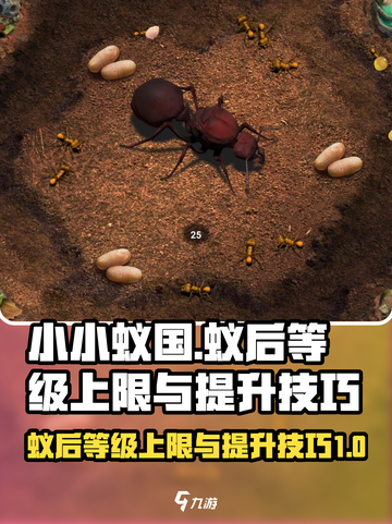 小小蚁国满级蚁后多少级介绍截图1