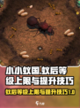小小蚁国满级蚁后多少级介绍