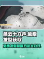燕云十六声免费发型获取在哪里介绍
