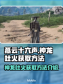 燕云十六声🔥神龙吐火获取方法大曝光！