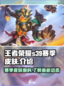 王者荣耀s39赛季皮肤是什么介绍