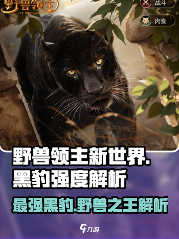 野兽领主新世界🔥黑豹强度解析来了！🚀截图1