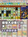 🔥植物大战僵尸65关神操作💥