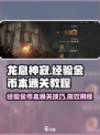 龙息神寂🔥超简单刷经验金币本通关秘籍！