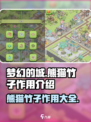 梦幻的城熊猫竹子有什么用介绍