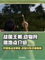 战国王朝：揭秘最佳狩猎地点狮子王👑🦁