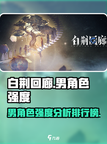 白荆回廊男角色怎么样介绍截图1