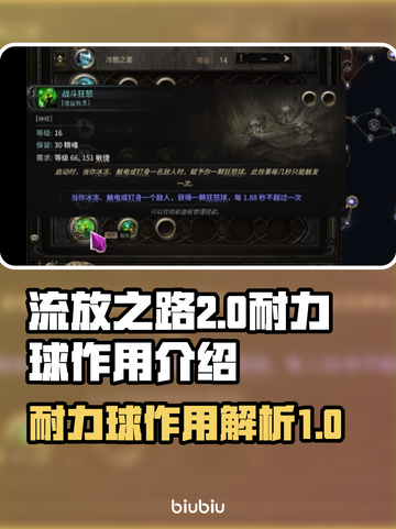 流放之路2💥耐力球作用全解析！🔥截图1