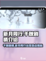 新月同行千秋剧情介绍介绍