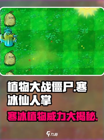 植物大战僵尸：寒冰仙人掌💎超好用！冻住僵尸不是梦🔥截图1