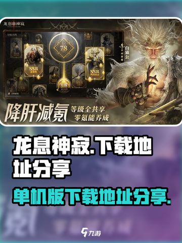 龙息神寂单机版在哪玩介绍截图1