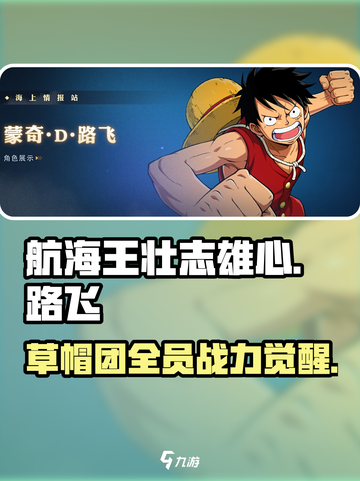 航海王壮志雄心主角介绍介绍截图1