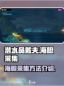 潜水员戴夫🔥海胆采集技巧大公开！🎮
