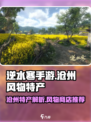 逆水寒手游沧州风物商店特产是什么介绍