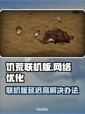 饥荒联机版延迟高？这个加速器🔥搞定！截图1