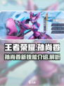 王者荣耀星之破晓孙尚香怎么样介绍