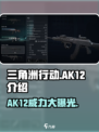 三角洲行动ak12介绍介绍
