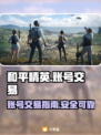 和平精英账号交易⚡快速上分的秘密在这里！