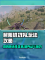 解限机奶妈玩法🔥《原神》必看❗