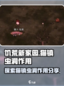 饥荒新家园：猫镇虫洞🔥的秘密作用揭秘！