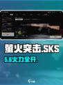 萤火突击SKS🔥实战强度炸裂！