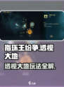 《指环王纷争》透视玩法大揭秘！🌍✨
