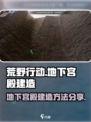 荒野起源地下宫殿怎么建造介绍