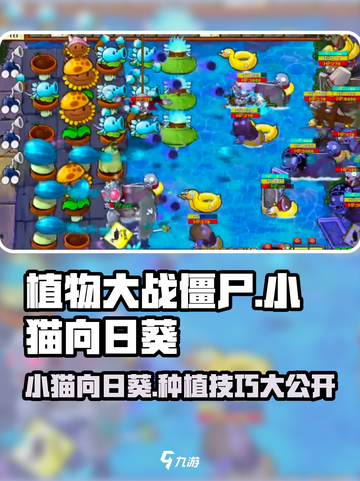 植物大战僵尸：小猫向日葵✨超厉害用法大公开！截图1