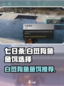 七日世界白斑狗鱼鱼饵选什么介绍
