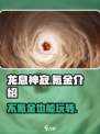 龙息神寂不花钱能玩吗介绍