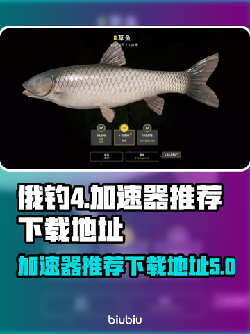 俄钓4🔥加速器下载推荐，超好用👇截图1