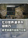 七日世界升级攻略分享介绍