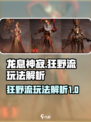 龙息神寂狂野流怎么玩​介绍