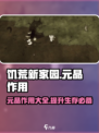 饥荒新家园💥元晶作用大揭秘！💎