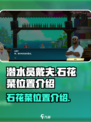 潜水员戴夫石花菜在哪介绍