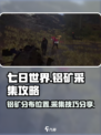七日世界铝矿哪个位置多介绍