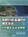 荒野起源PVP模式有哪些介绍