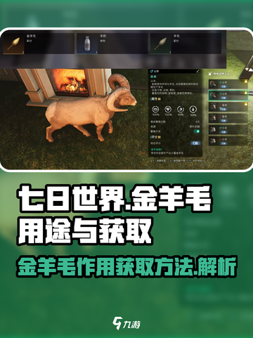 七日世界金羊毛有什么用介绍截图1