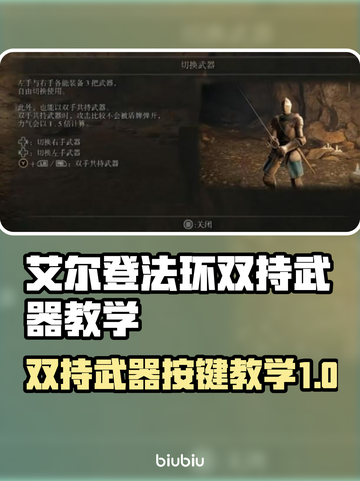 艾尔登法环双持武器技巧🔥键盘操作全解！🎮截图1